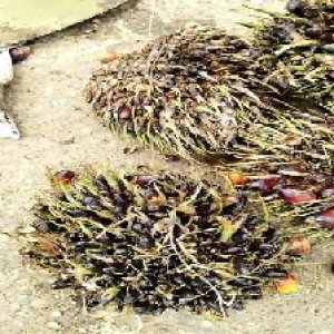 defect_valid (178).jpg