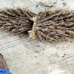 defect_valid (179).jpg