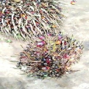 defect_valid (189).jpg