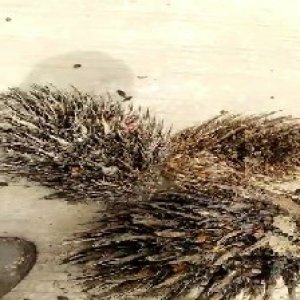 defect_valid (19).jpg