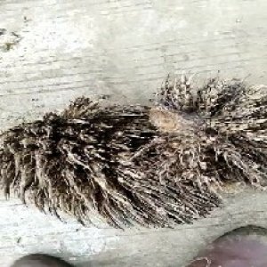 defect_valid (197).jpg