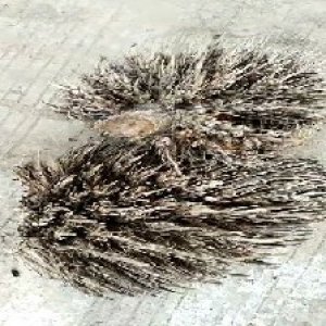 defect_valid (199).jpg