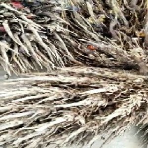 defect_valid (2).jpg