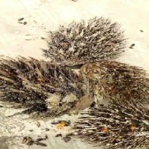 defect_valid (20).jpg