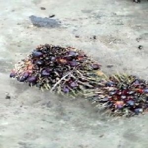 defect_valid (200).jpg