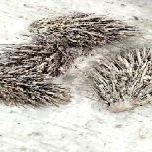 defect_valid (202).jpg