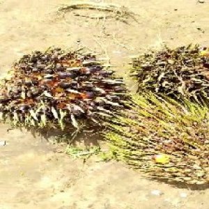 defect_valid (207).jpg