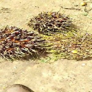 defect_valid (208).jpg