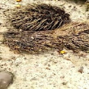 defect_valid (209).jpg