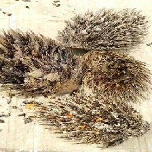 defect_valid (21).jpg