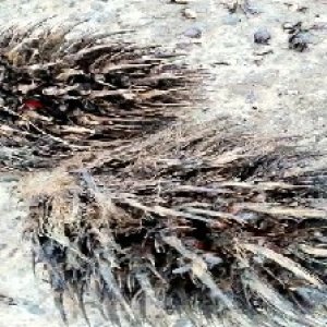 defect_valid (219).jpg