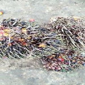 defect_valid (221).jpg