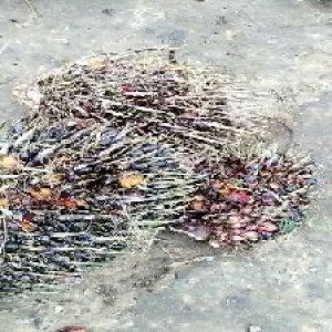 defect_valid (222).jpg