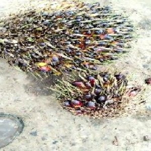 defect_valid (228).jpg