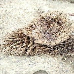 defect_valid (229).jpg