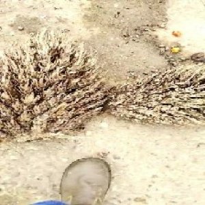 defect_valid (234).jpg