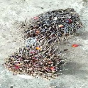 defect_valid (242).jpg