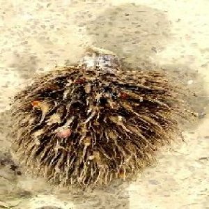 defect_valid (270).jpg