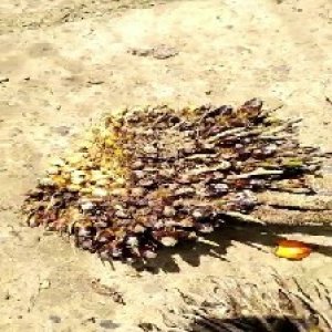 defect_valid (29).jpg