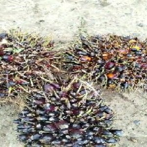 defect_valid (315).jpg