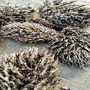 defect_valid (32).jpg