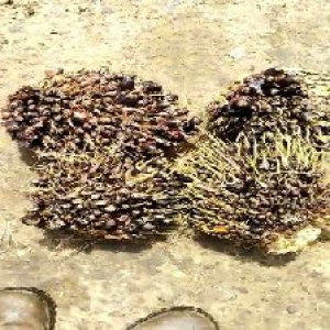 defect_valid (371).jpg