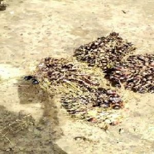 defect_valid (373).jpg