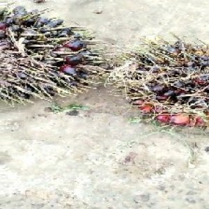 defect_valid (380).jpg