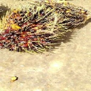 defect_valid (383).jpg