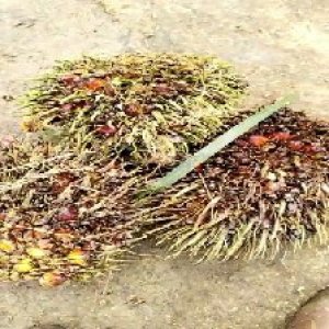 defect_valid (418).jpg