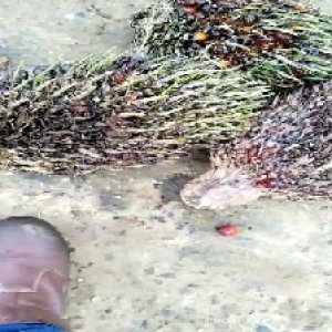 defect_valid (425).jpg