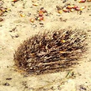 defect_valid (53).jpg