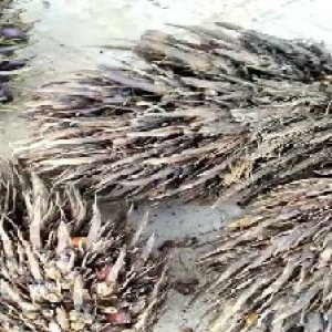 defect_valid (6).jpg