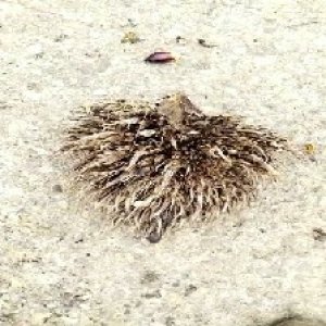 defect_valid (72).jpg