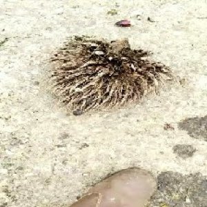 defect_valid (73).jpg