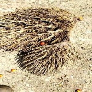 defect_valid (74).jpg