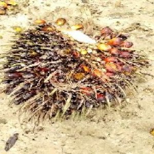 defect_valid (77).jpg