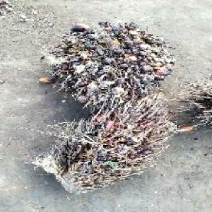 defect_valid (79).jpg