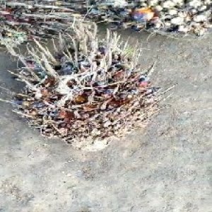 defect_valid (81).jpg