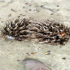 defect_valid (82).jpg