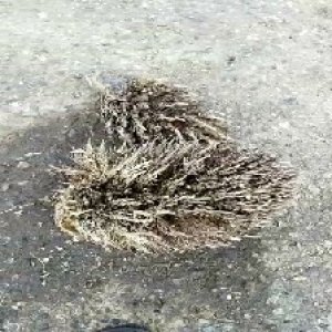 defect_valid (88).jpg