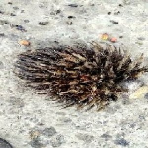 defect_valid (92).jpg