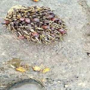 defect_valid (93).jpg