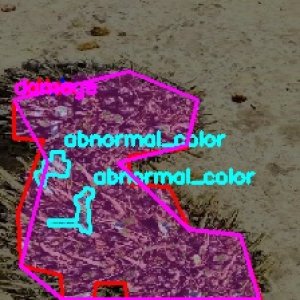 defect_test (1007)_defects.jpg