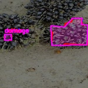 defect_test (1038)_defects.jpg