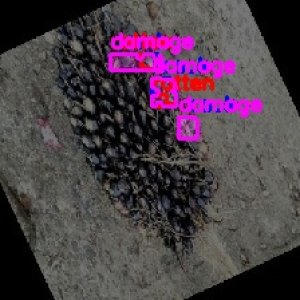 defect_train (10036)_defects.jpg