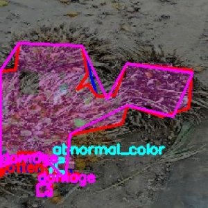 defect_valid (1114)_defects.jpg