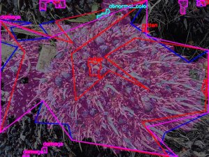 defect_valid (1148)_defects.jpg