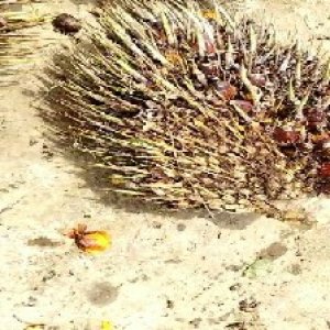 defect_train (10).jpg