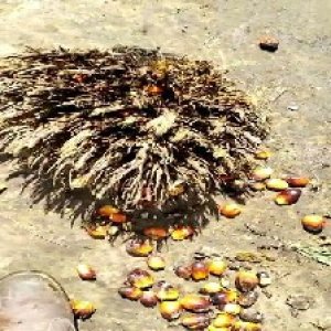 defect_train (1008).jpg